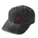 Lobster hat