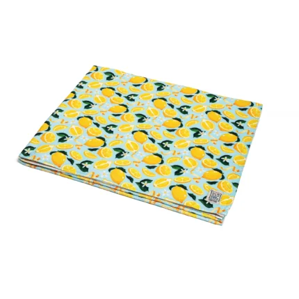 Nia Microfiber Beach Towel