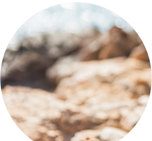 Beach and sea background